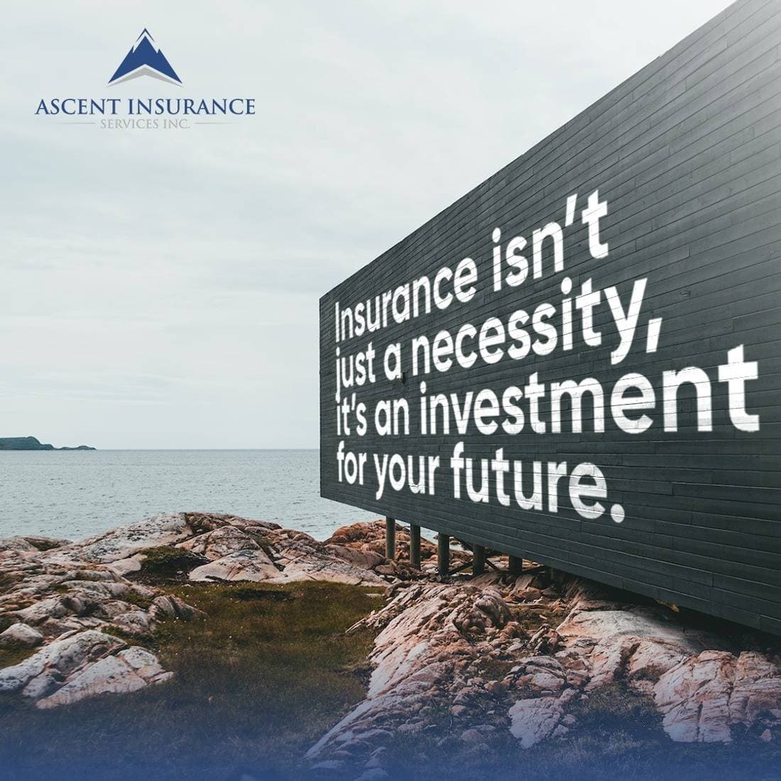 Ascent Insurance brand & linkedin by Buzzketing, image 2